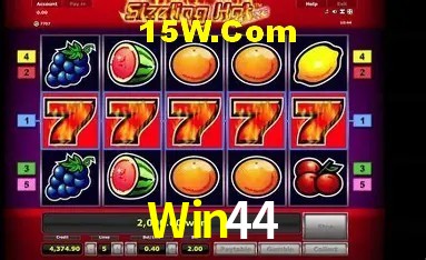Bonus Features Win44